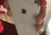 iPhone 8 Plus