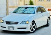 مارکس ناوارد ۱۰۰٪ بشرط کانتینری بودن